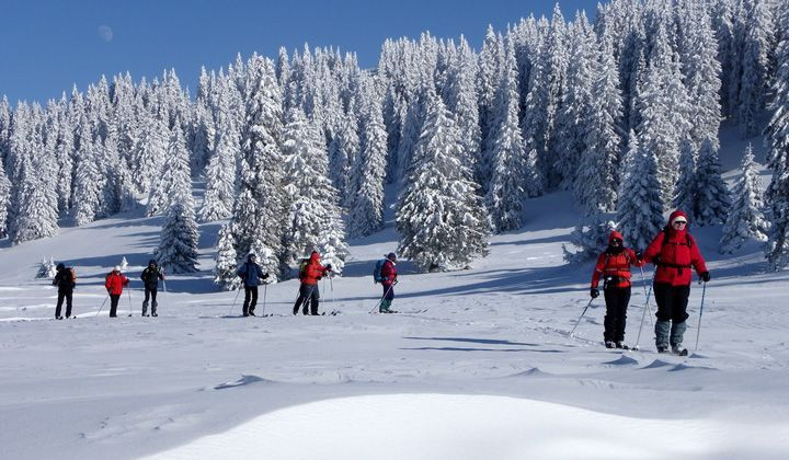 Sci alpinismo nordico in una foresta innevata - creste del Giura - Francia