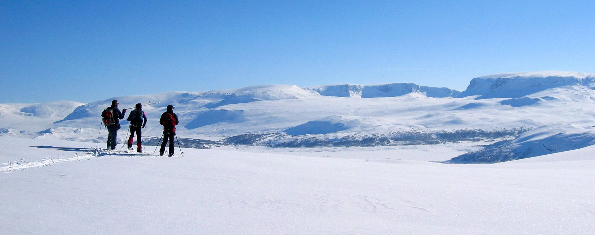 Sciatori nordici su un altopiano innevato - Norvegia