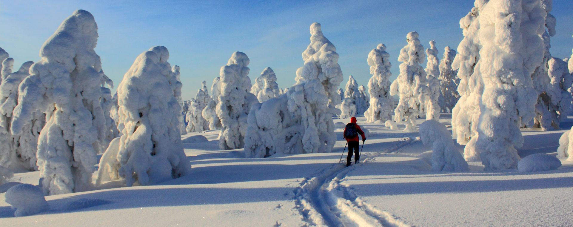 Sci nordico a Pallas-Yllästunturi - Lapponia - Finlandia
