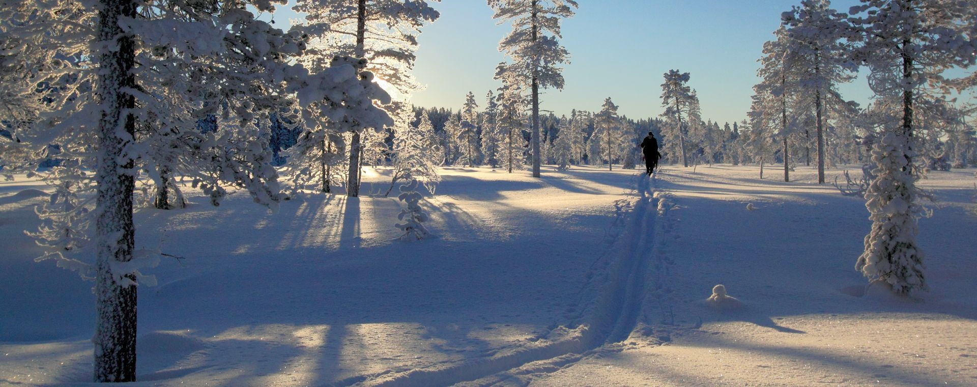Sci nordico nel Pallas-Yllästunturi - Lapponia - Finlandia