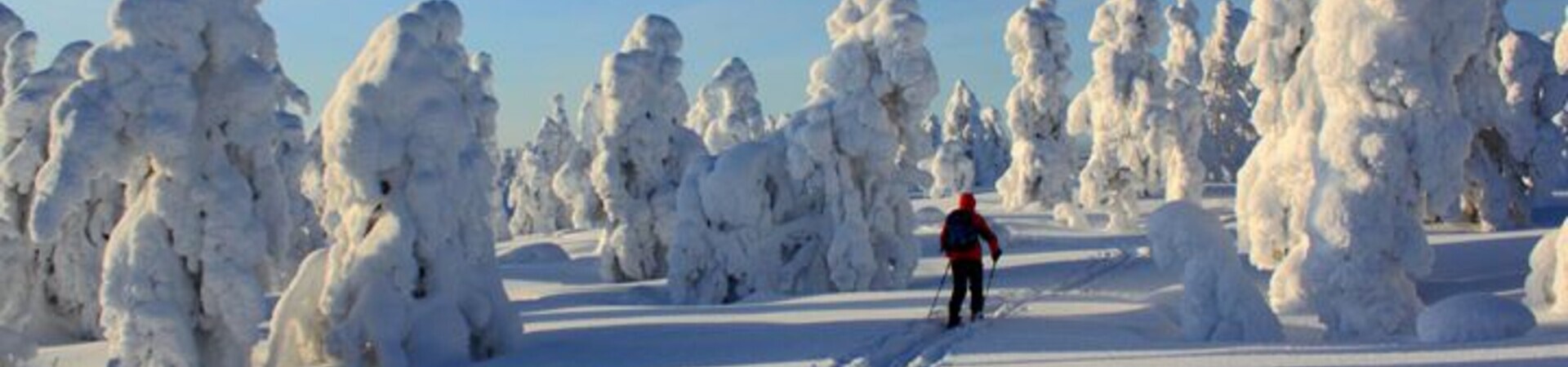 Sci nordico tra gli alberi coperti di brina - Pallas-Yllästunturi - Lapponia - Finlandia