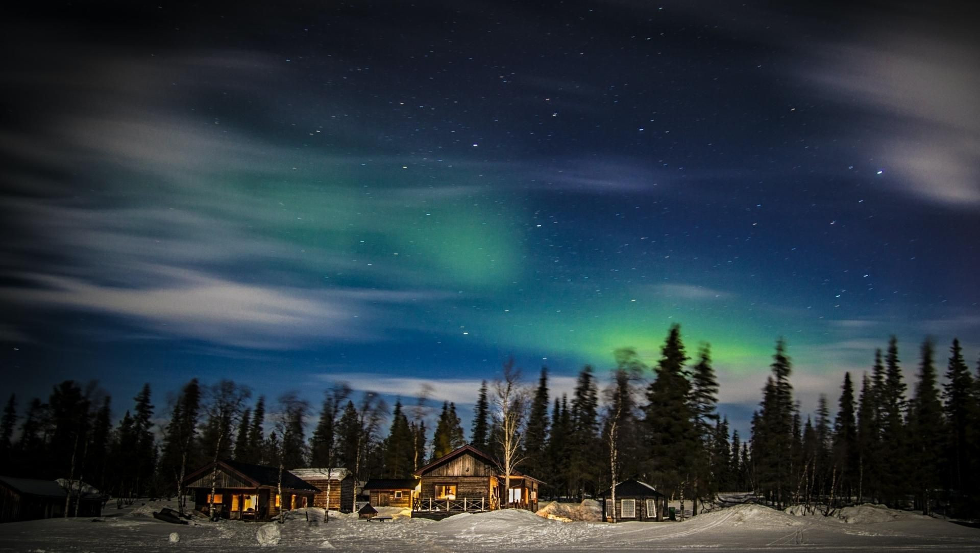 Aurora boreale sopra la foresta - Kiruna - Lapponia - Svezia