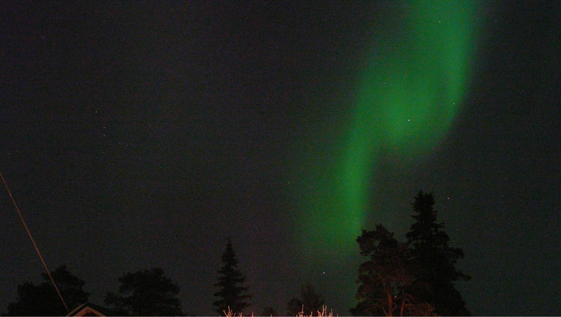 Aurora boreale sopra la foresta - Lapponia - Finlandia