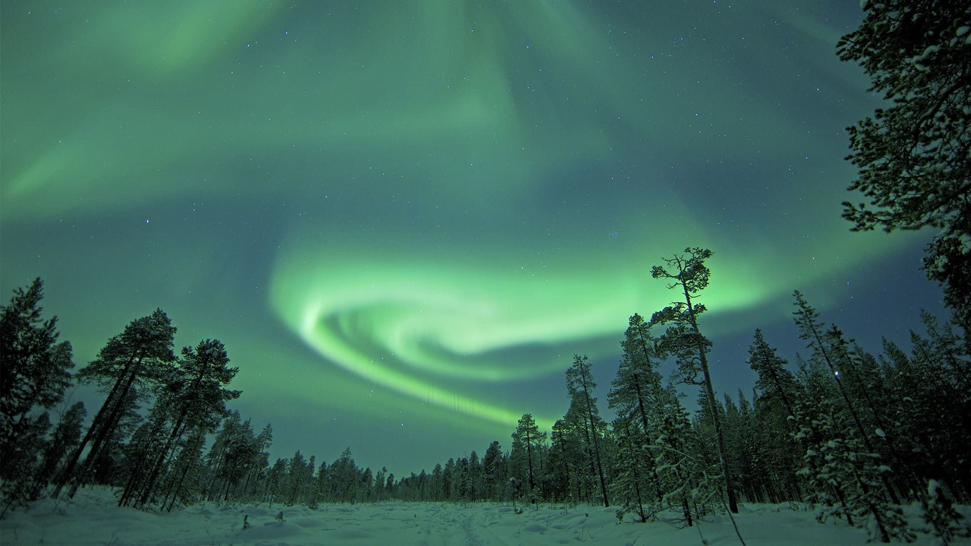 Viaggi e soggiorni per ammirare l’aurora boreale – Grande Nord e Lapponia