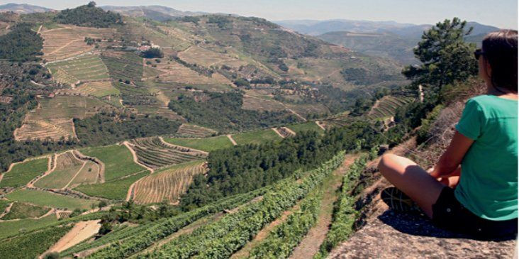 Vista sui vigneti terrazzati della valle del Douro - Portogallo