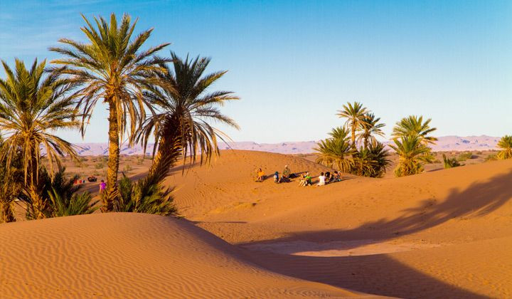 Oasi di palme tra le dune - Marocco meridionale - Marocco