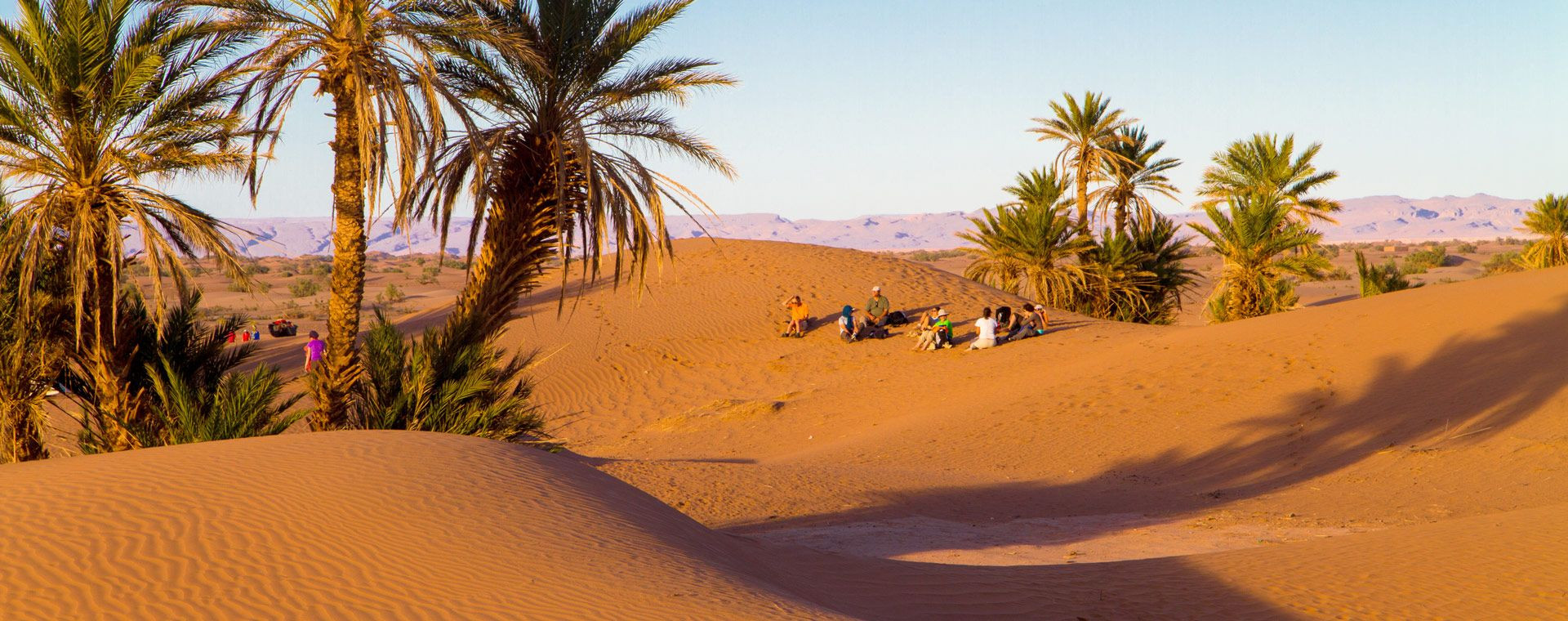 Gruppo di escursionisti tra le palme nel deserto - Marocco meridionale