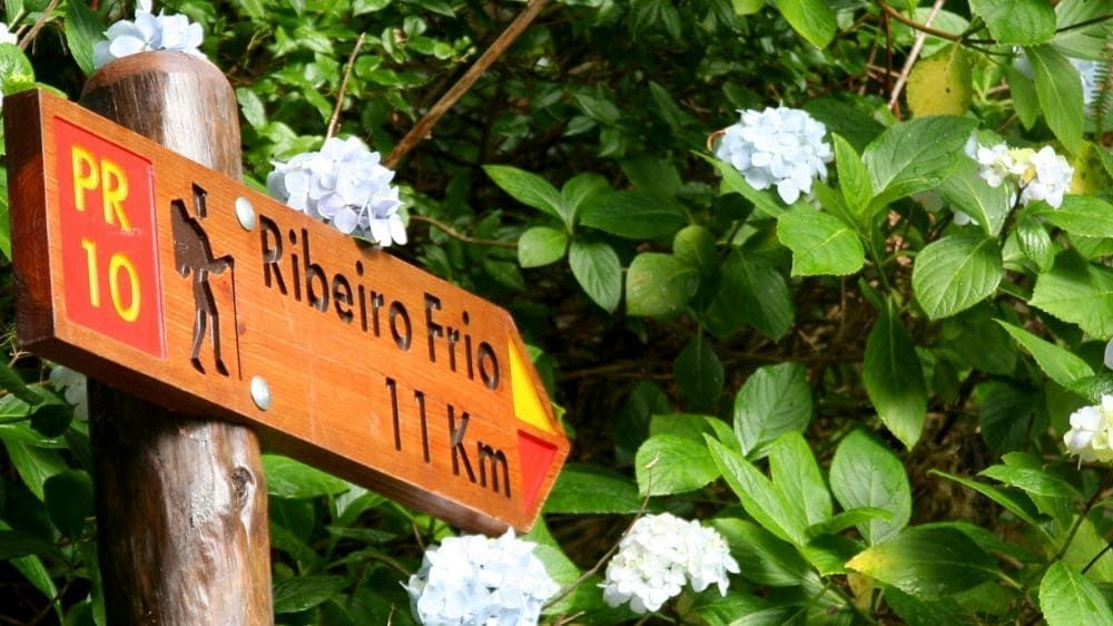 Cartello escursionistico a Ribeiro Frio tra le ortensie - Madeira - Portogallo
