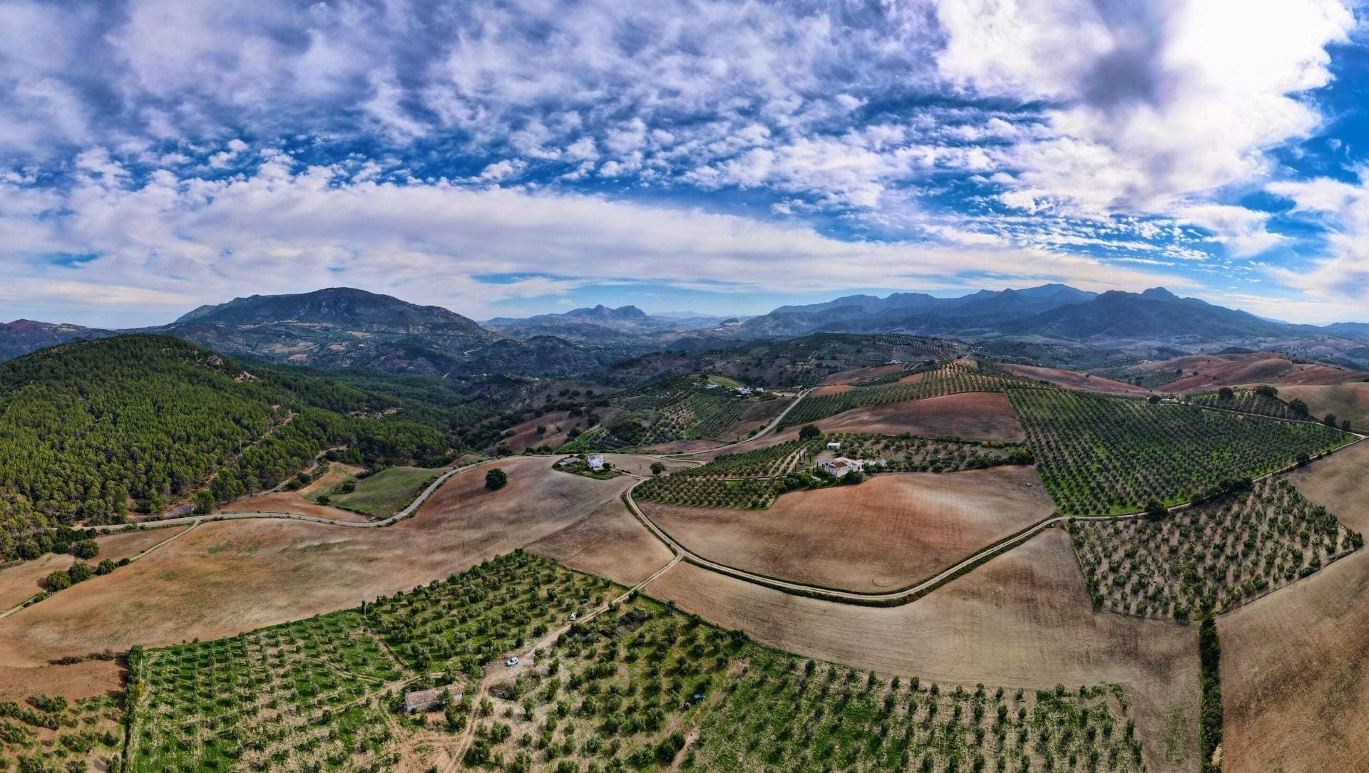 Panorama sulle colline e gli oliveti dell’Andalusia - Spagna