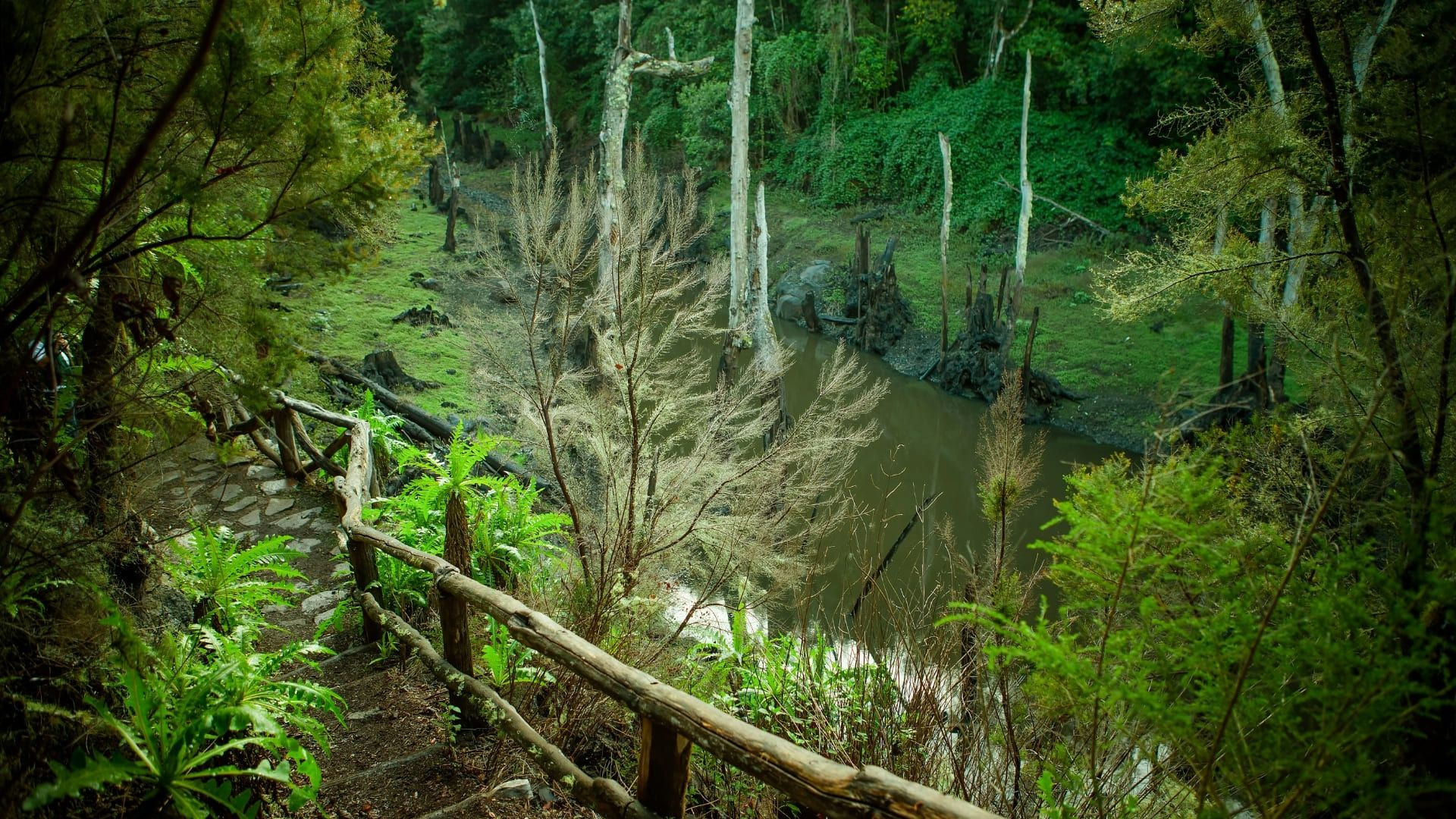 Sentiero di La Gomera - Spagna