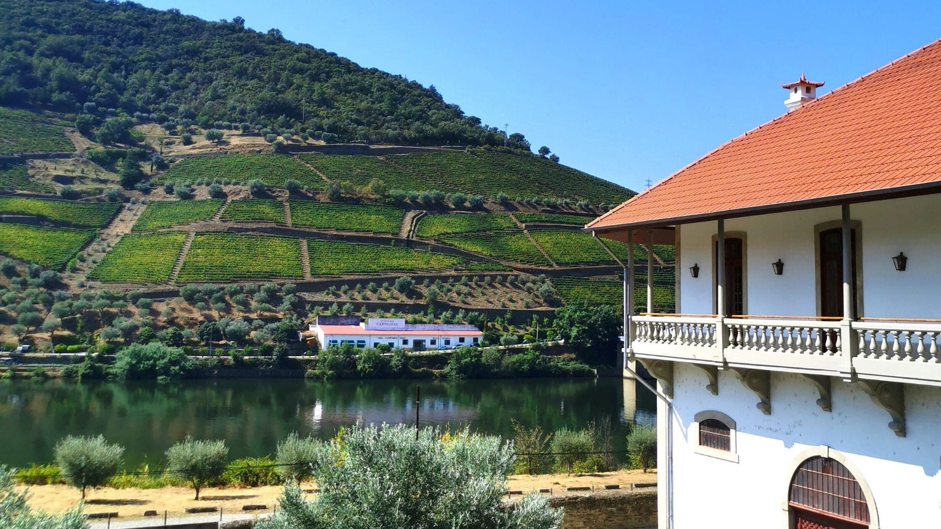 © Wilfrid Valette Point Sublime - Gole del Verdon - Provenza - Francia