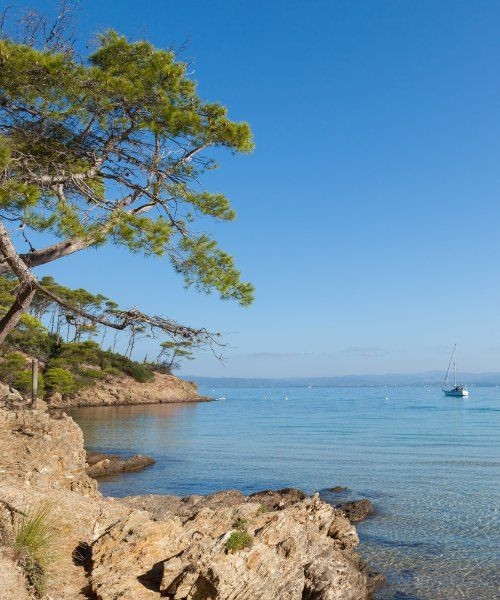 Isola di Porquerolles - Var - Francia