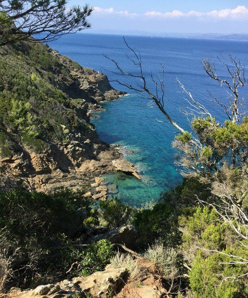 Isola di Port-Cros - Var - Francia