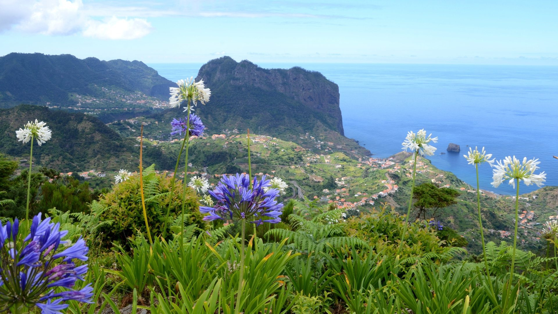 Portela - Madeira