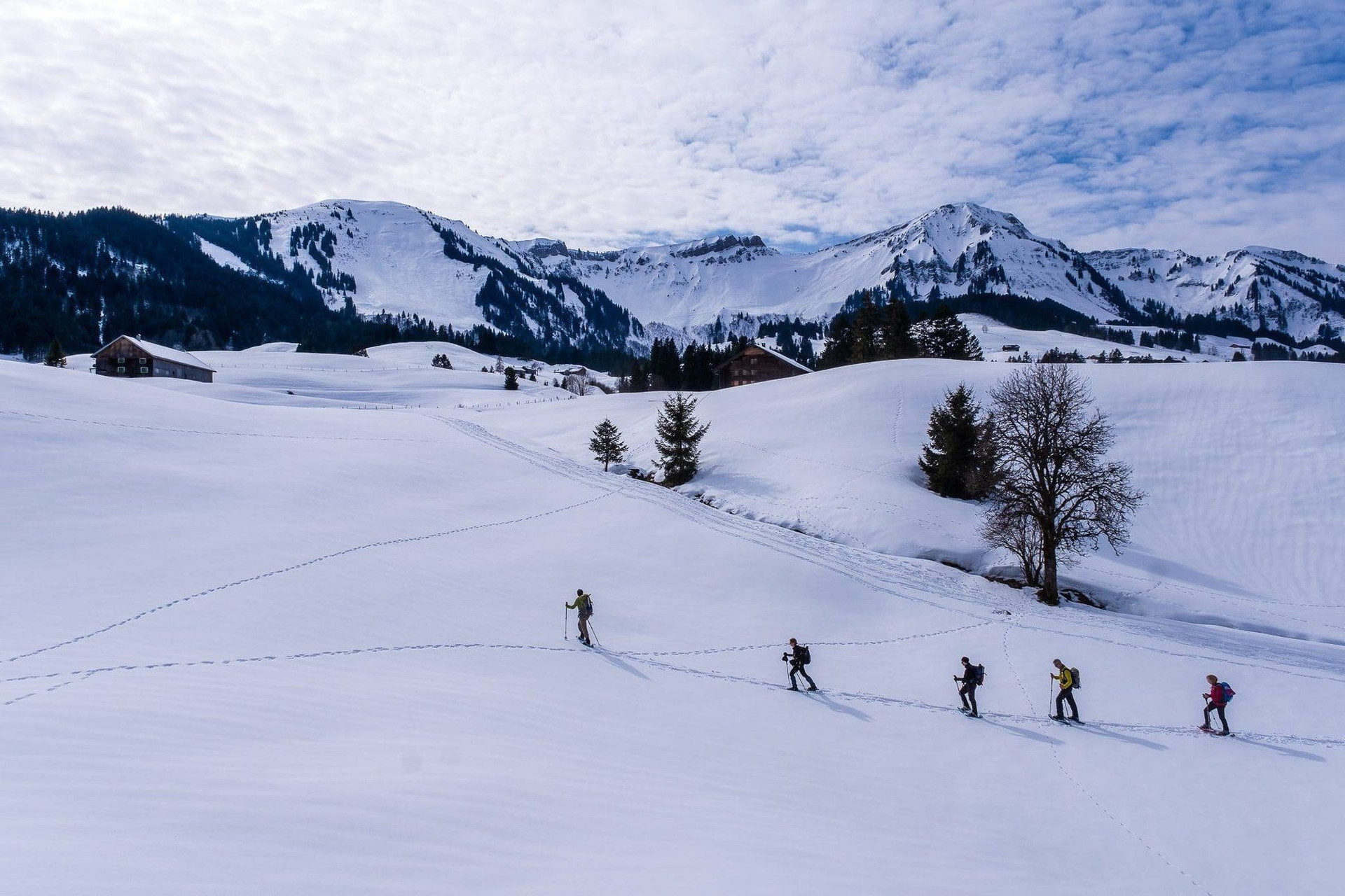 Escursionisti con le ciaspole attraversano la pianura innevata - Bregenzerwald - Austria