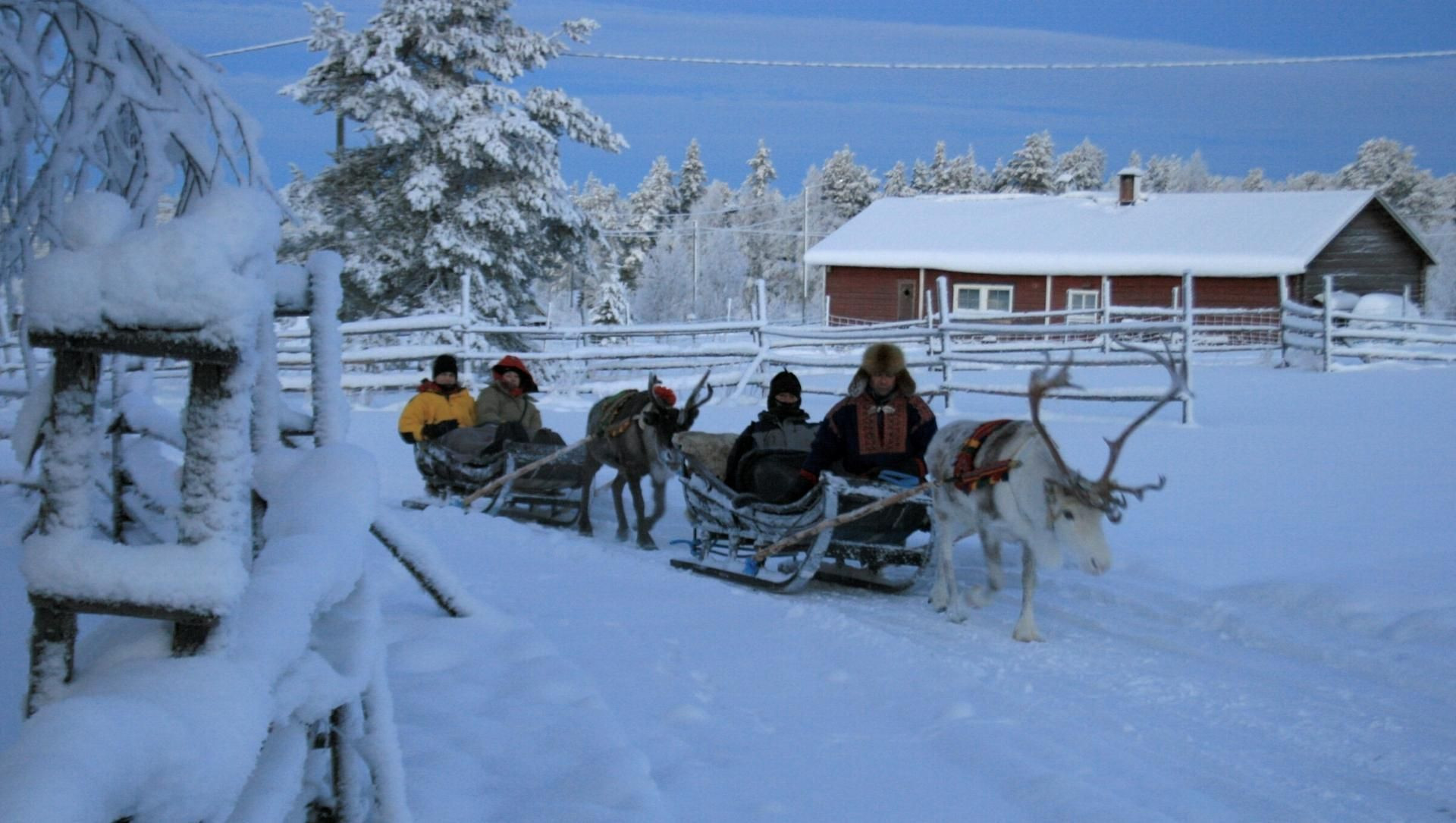 © P. Poulet Slitta trainata da renne in inverno - Lapponia - Finlandia