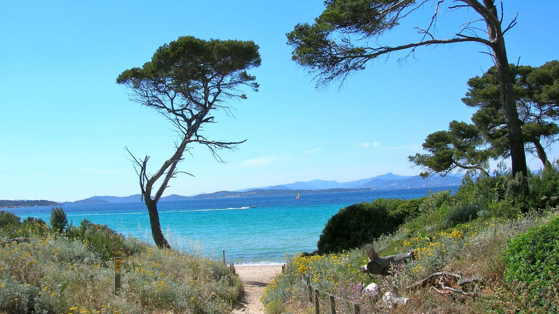 Costa rocciosa dell’isola di Porquerolles - Var - Francia