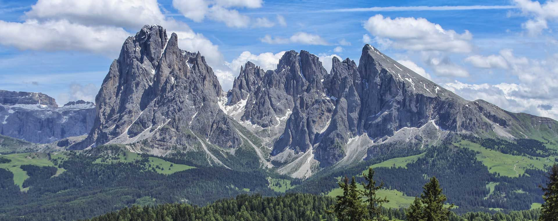 Sassolungo et Sasso Piatto depuis l'Alpe di Siusi - Dolomites - Italie