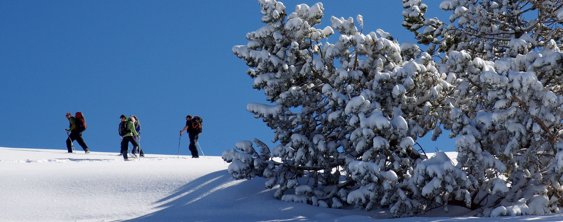 © Ardèche Sport Nature Escursione con le ciaspole in autonomia sull’alpeggio della Molière - Vercors - Francia
