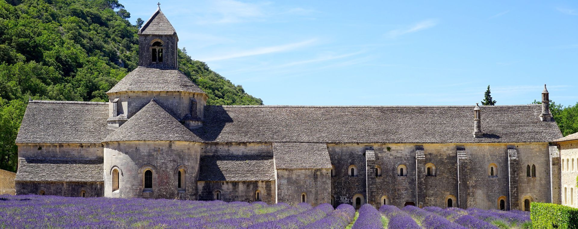Abbazia di Sénanque - Luberon - Provenza - Francia