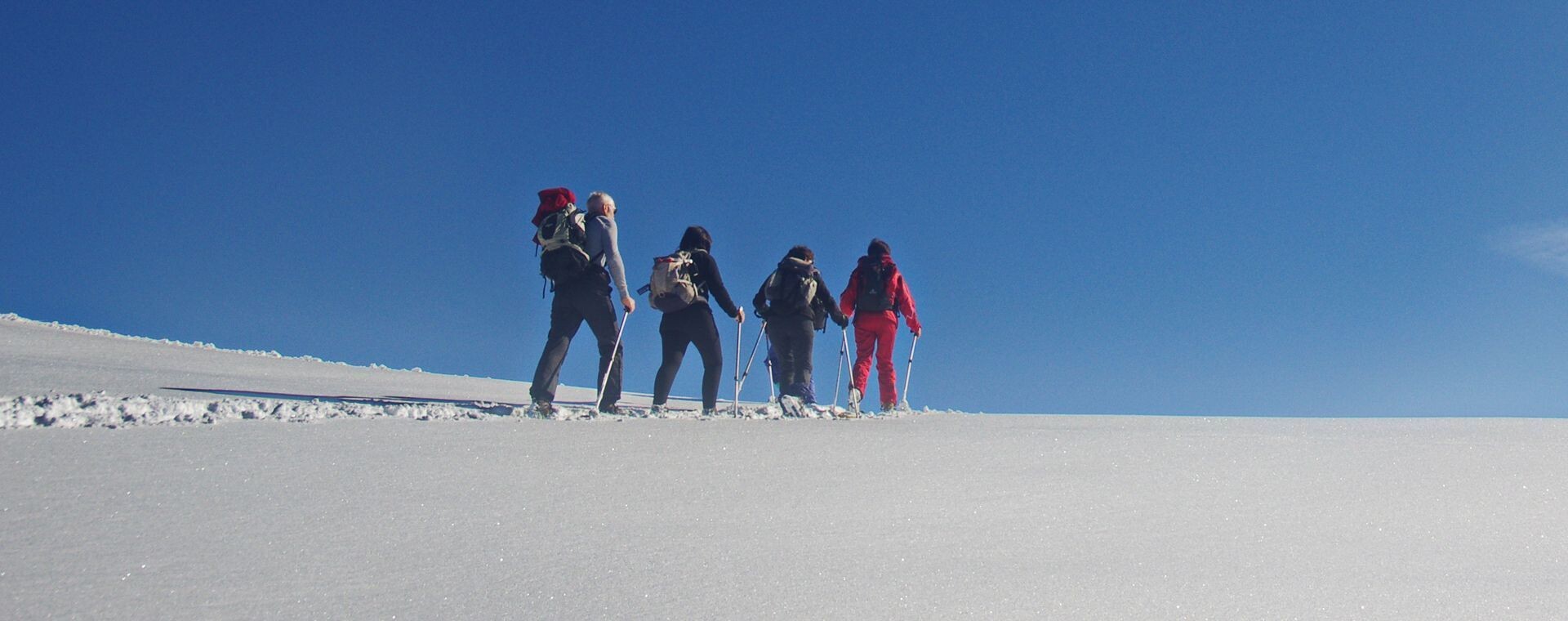 Sci alpinisti verso la vetta - alpeggio della Molière - Vercors - Alpi - Francia