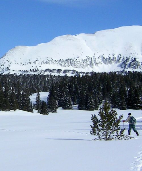 Sci alpinismo sotto il Grand Veymont innevato - Vercors - Francia