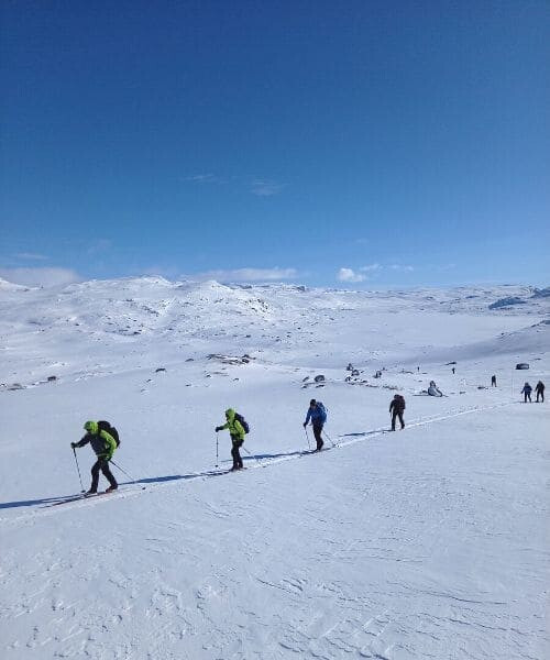 Gruppo di sciatori su un altopiano innevato - Norvegia