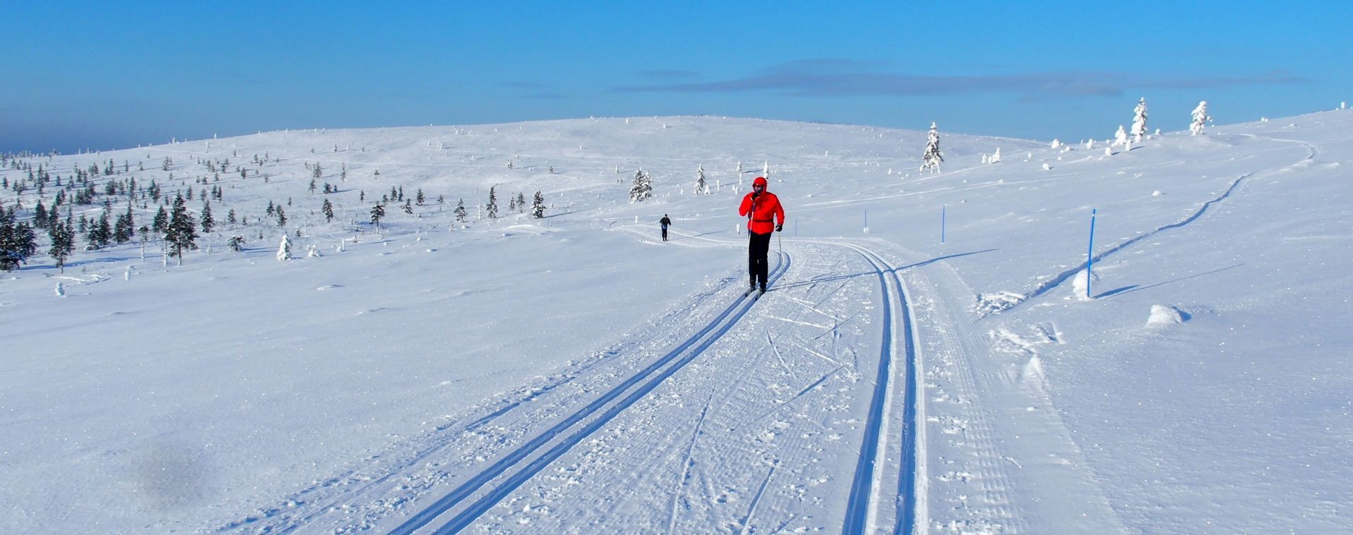 Fondista su pista innevata - Saariselkä - Lapponia - Finlandia