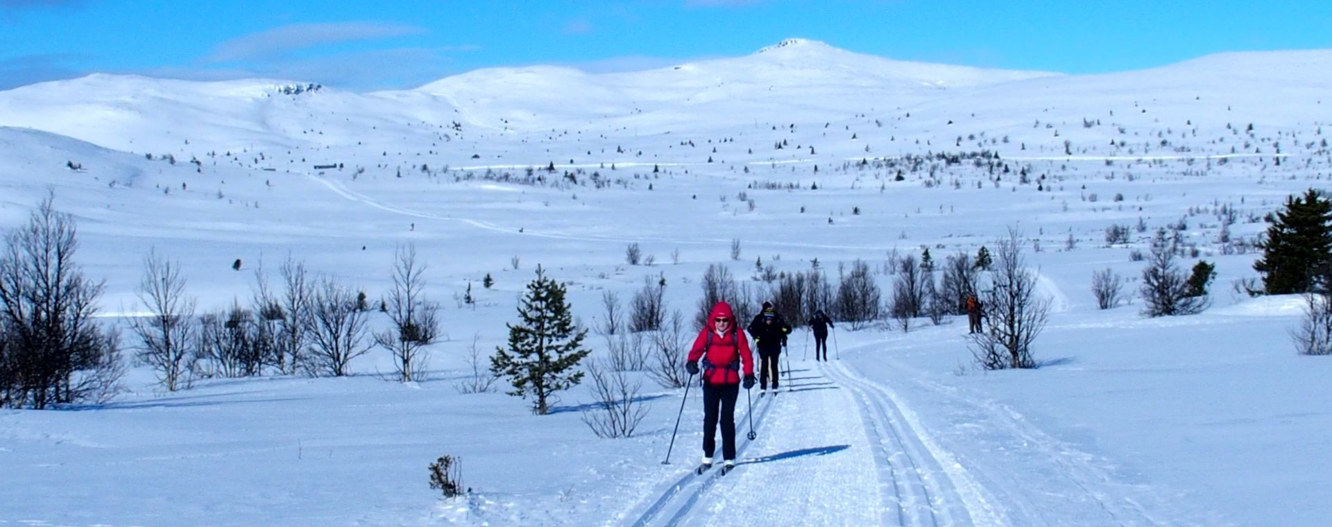 Sciatori nei dintorni di Venabu - Scandinavia - Norvegia