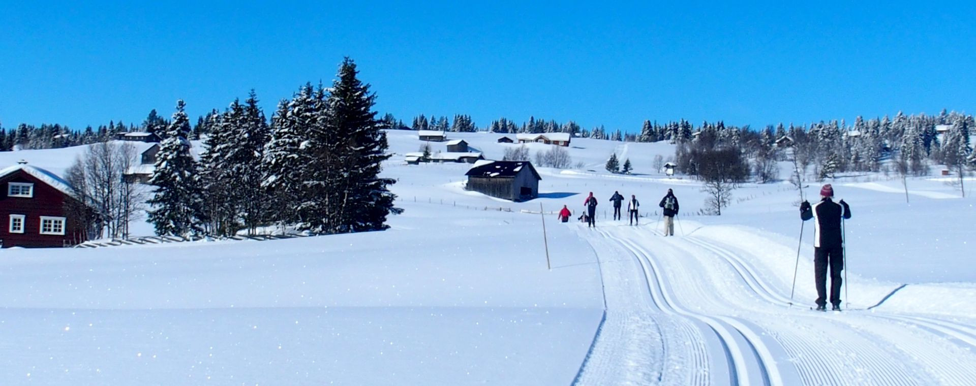 Sciatori di fondo sul Golsfjellet - Norvegia