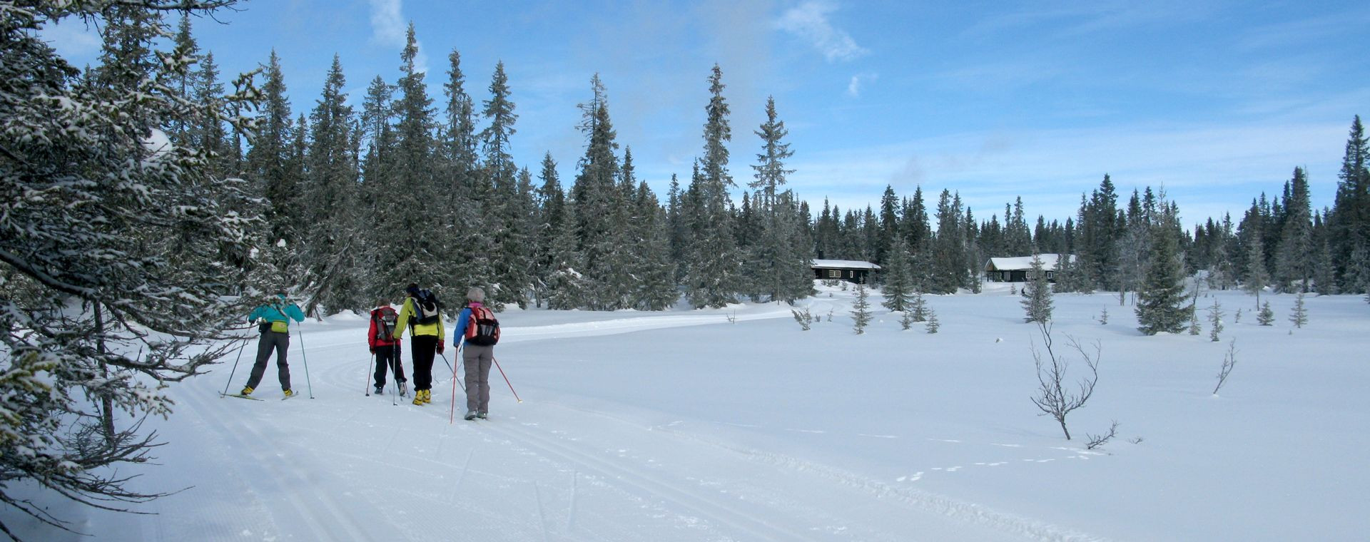 Fondisti a Sjusjøen - Norvegia