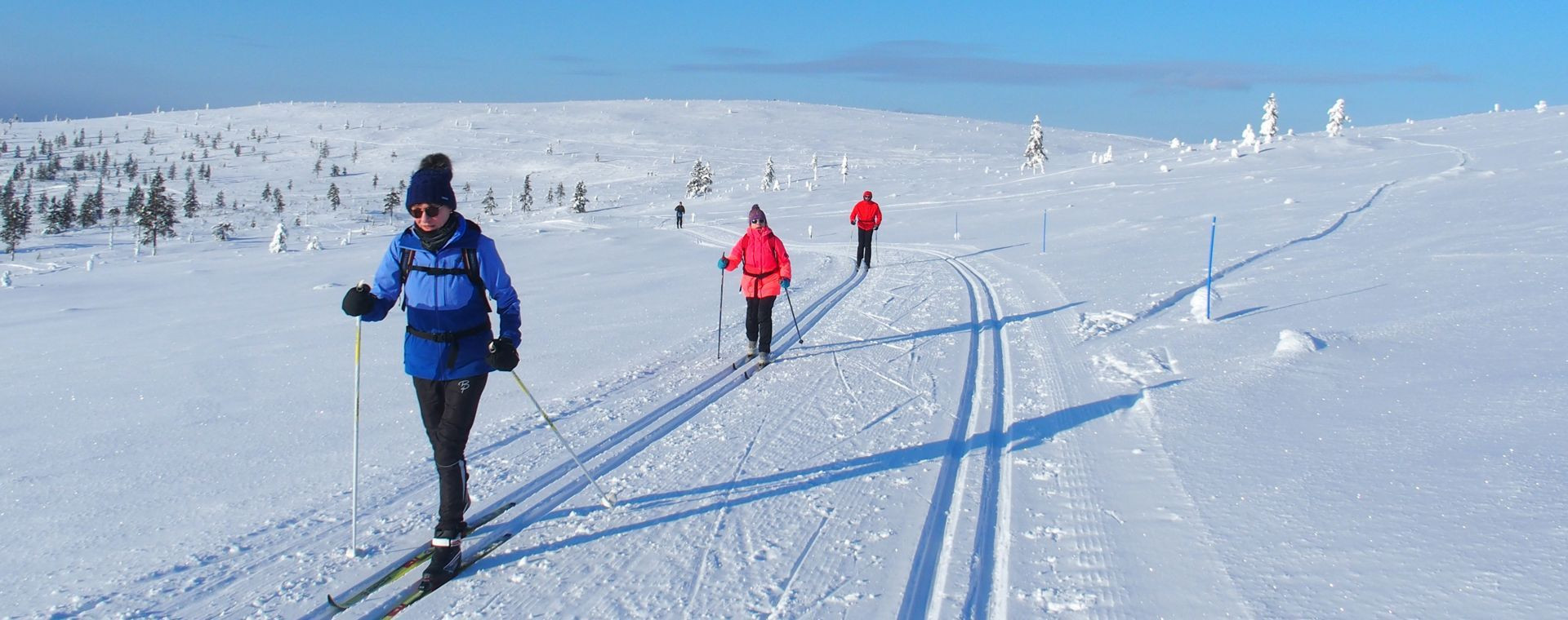 Fondisti vicino a Kiilopää - Lapponia - Finlandia