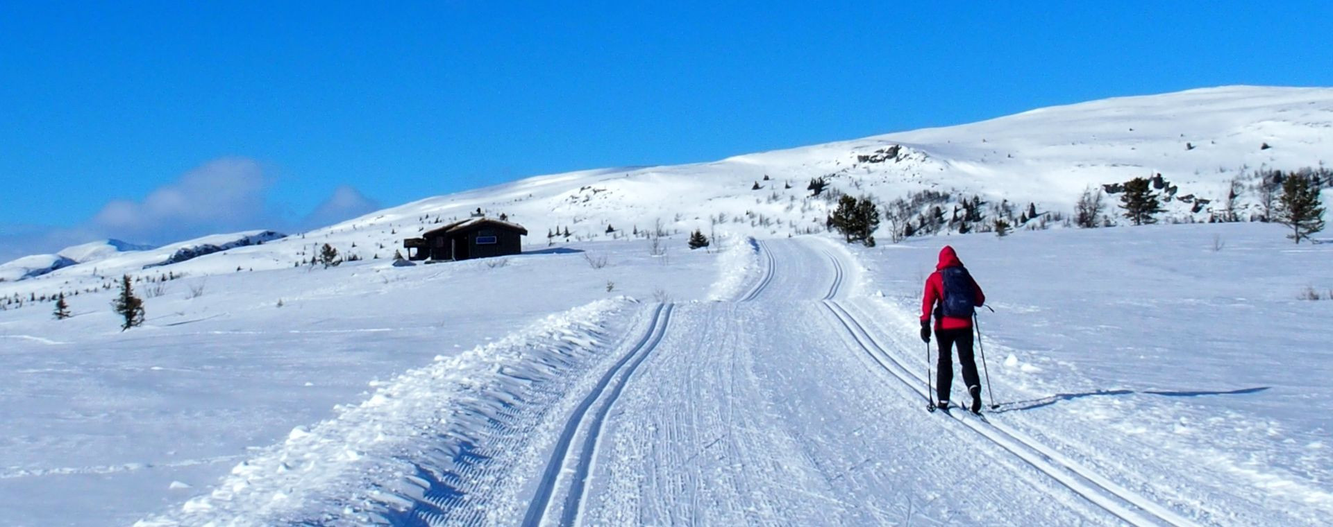 Fondista a Venabu - Scandinavia - Norvegia
