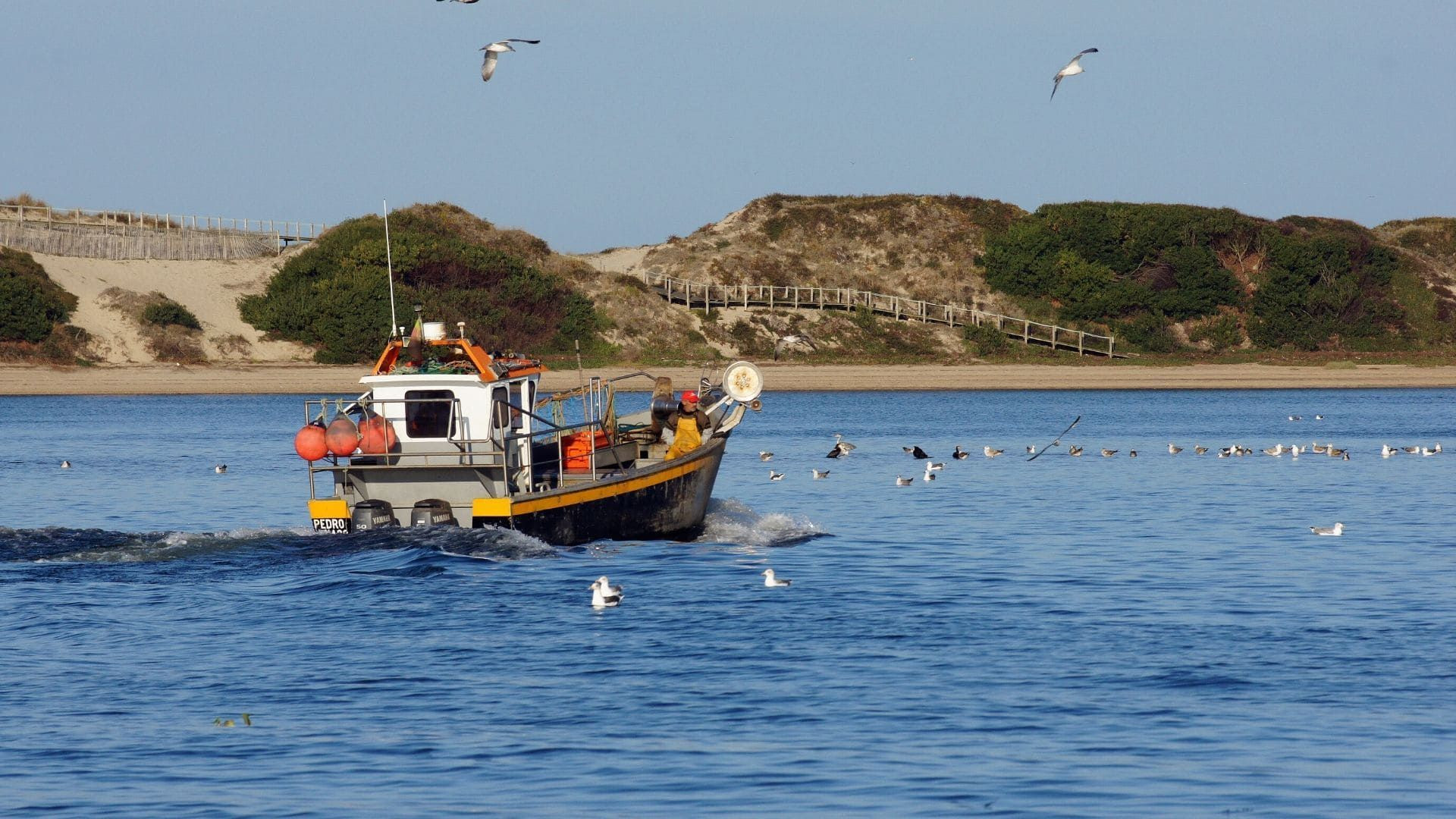 Piccolo peschereccio al largo - Vila do Conde - Portogallo