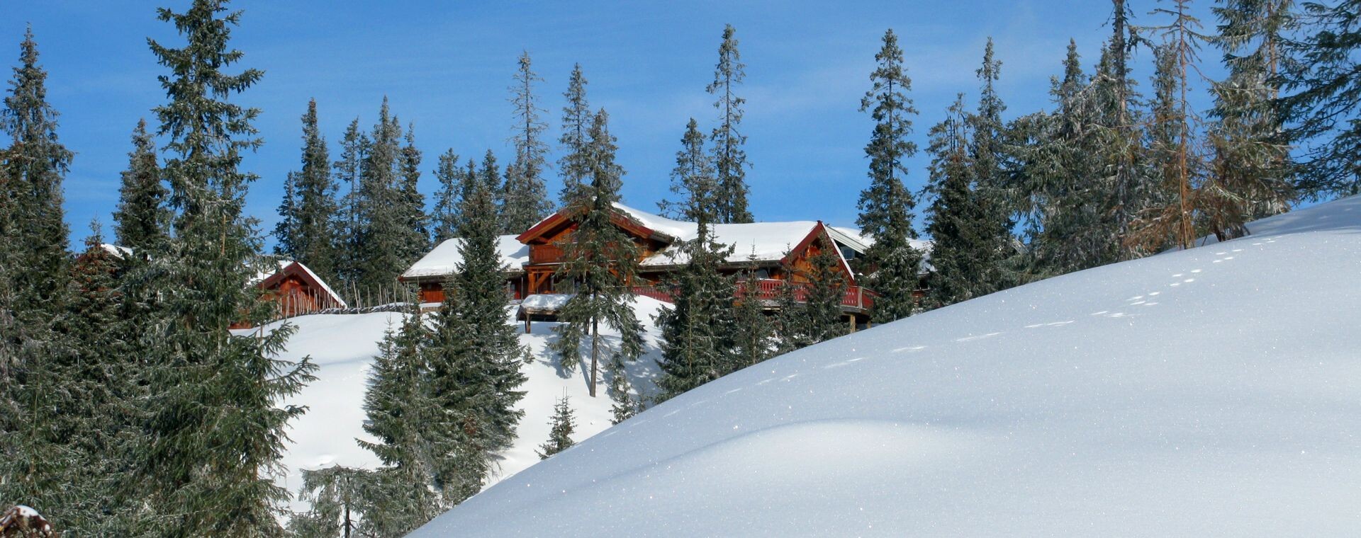 Chalet innevato tra gli abeti rossi - Sjusjøen in inverno - Norvegia