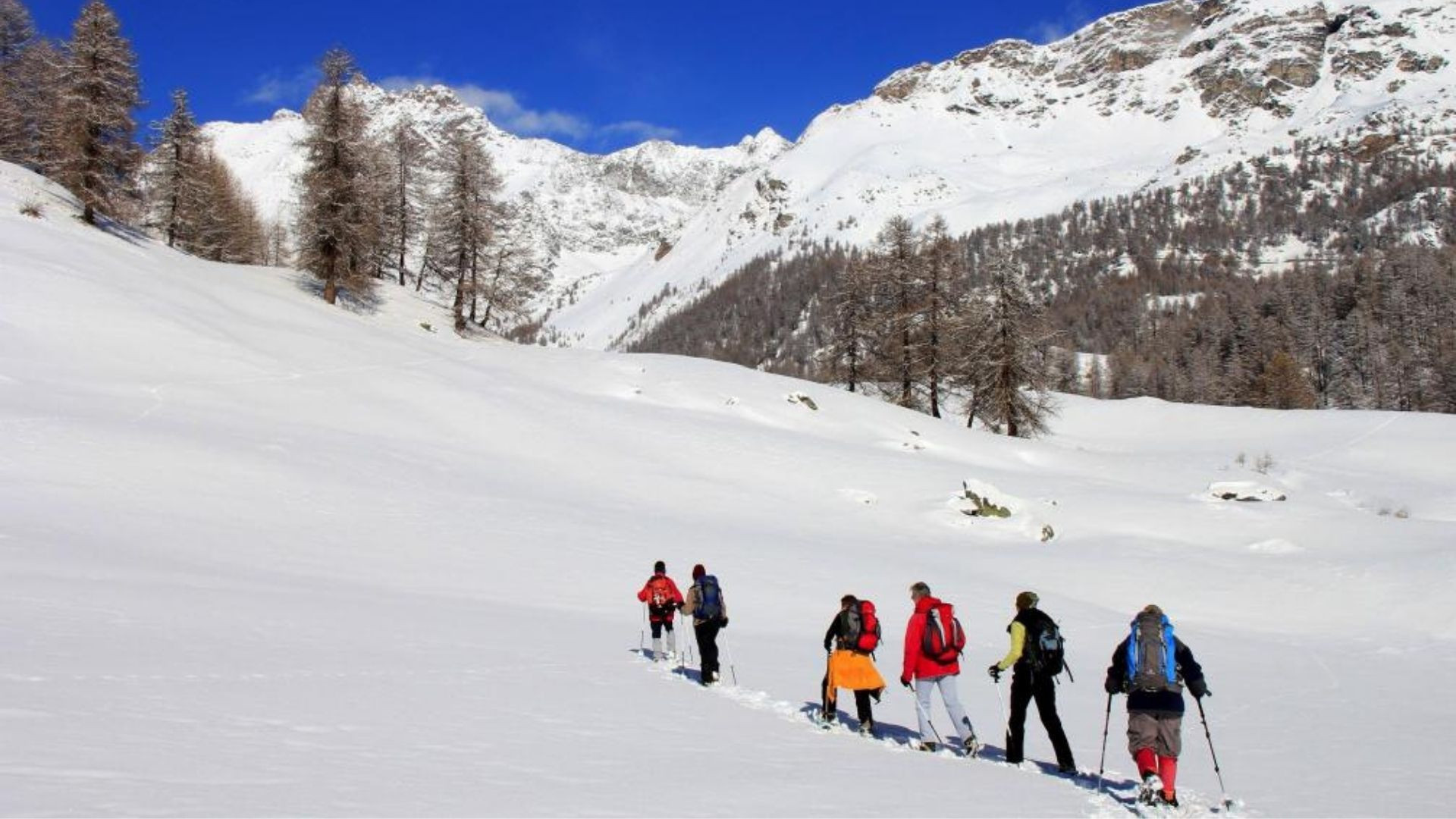 Randonneurs en raquettes dans un vallon enneigé - Alpes italiennes - Italie