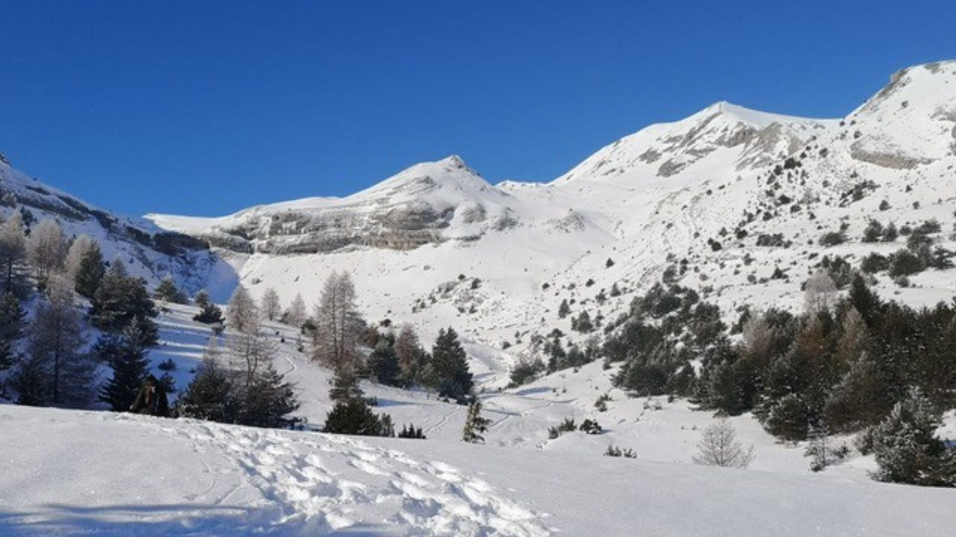Escursione con le ciaspole nel massiccio del Dévoluy - Francia