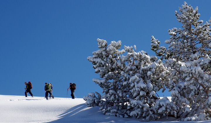 Ciaspolata all’alpeggio della Molière - Vercors - Francia