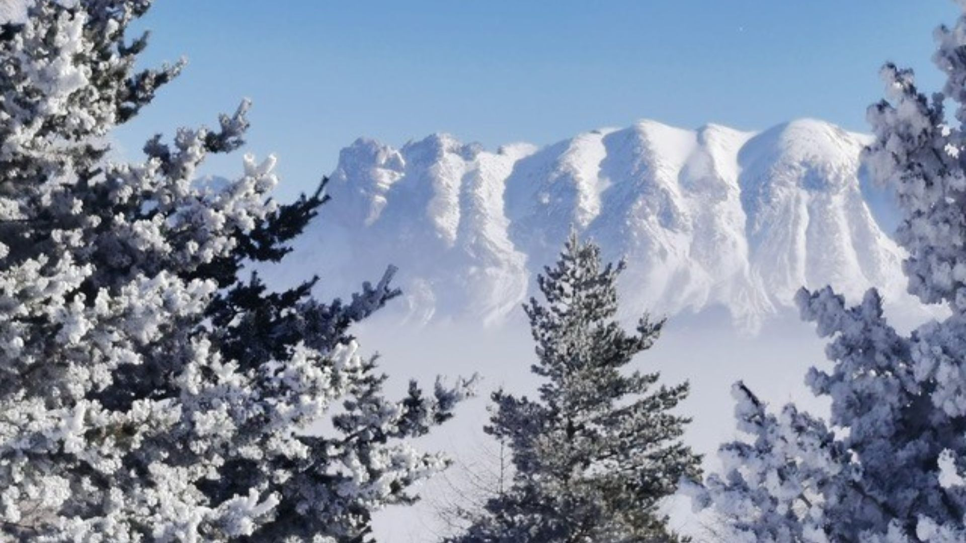 Gruppo con le ciaspole nella neve del Dévoluy - Francia