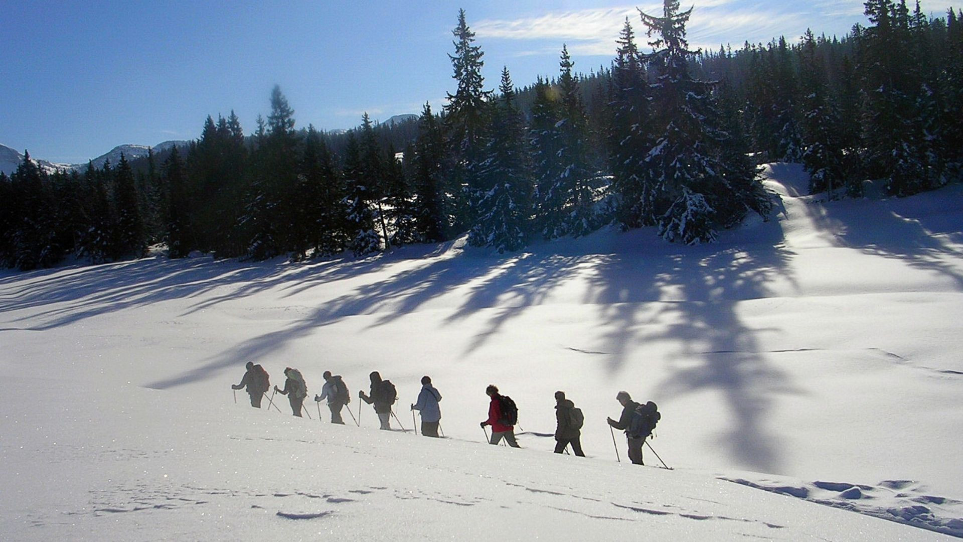 Gruppo con le ciaspole sugli Hauts Plateaux del Vercors - Francia