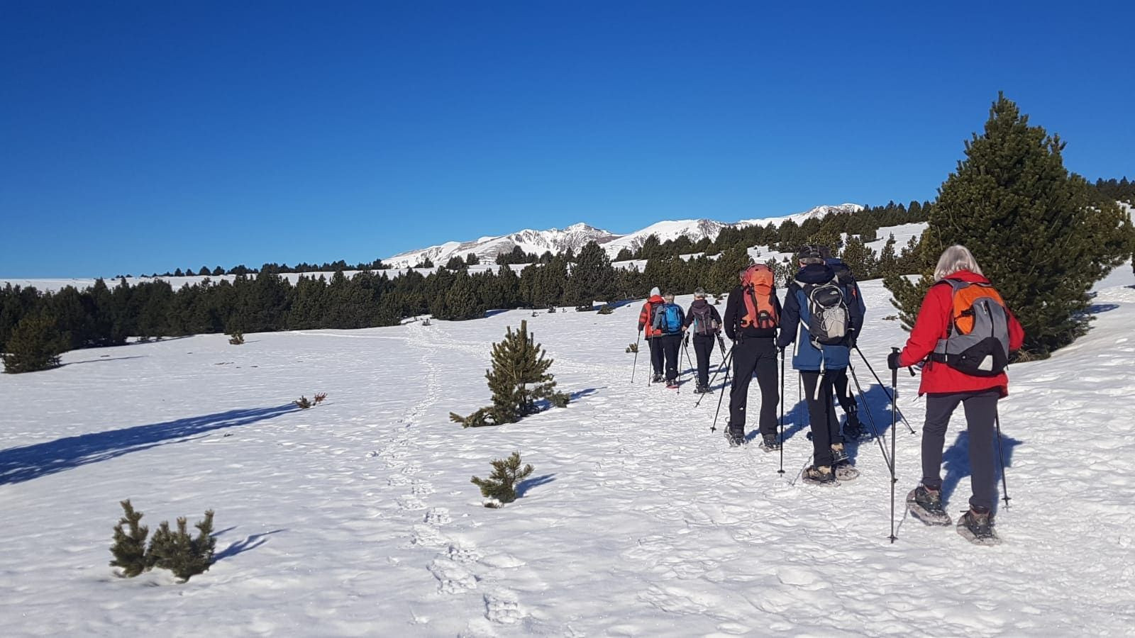 Gruppo con le racchette da neve su un altopiano innevato - Gavarnie - Pirenei - Francia