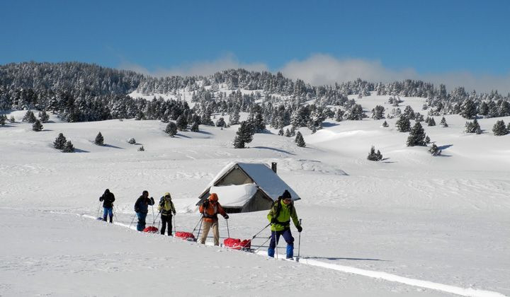 Escursione con le ciaspole e pulka - Hauts Plateaux del Vercors - Francia