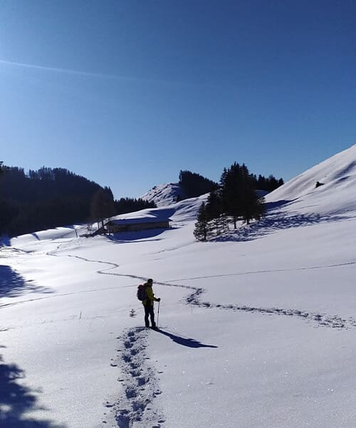 Escursionista con le ciaspole sulla neve fresca - Tirolo - Austria