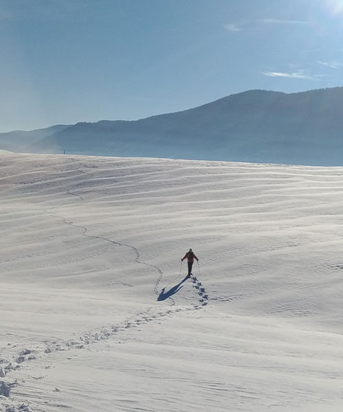 Escursionista con le ciaspole sulla piana di Méaudre - Vercors - Francia