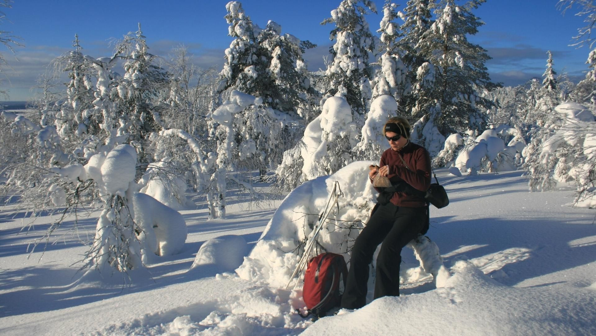 Pausa con le ciaspole su un albero innevato - Lapponia - Finlandia