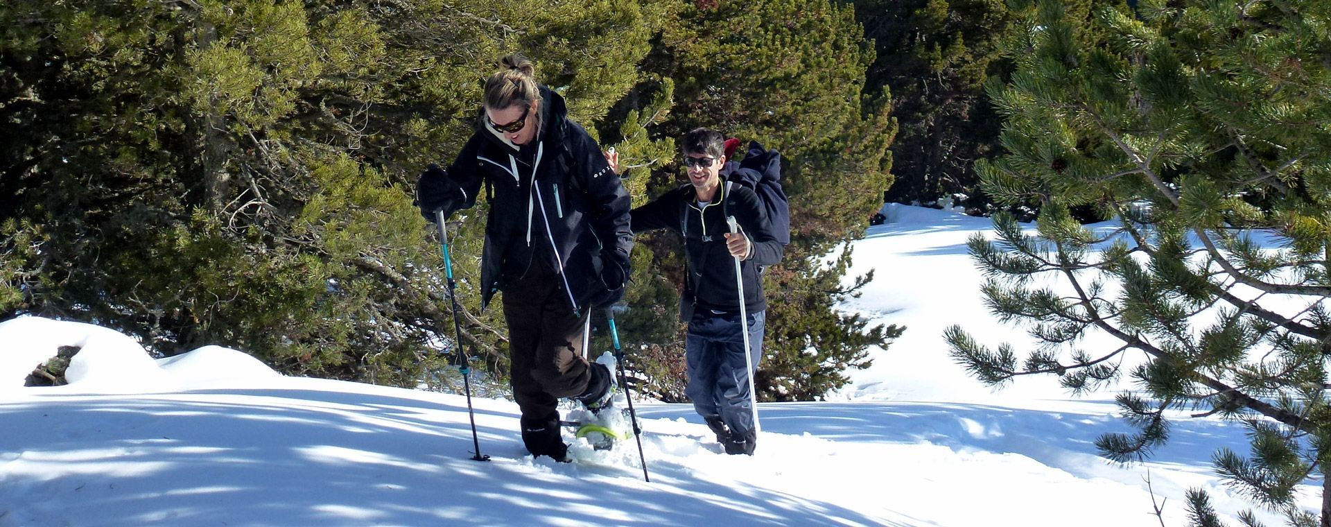Randonneurs en raquettes dans les pins - Val d'Aran - Pyrénées - Espagne