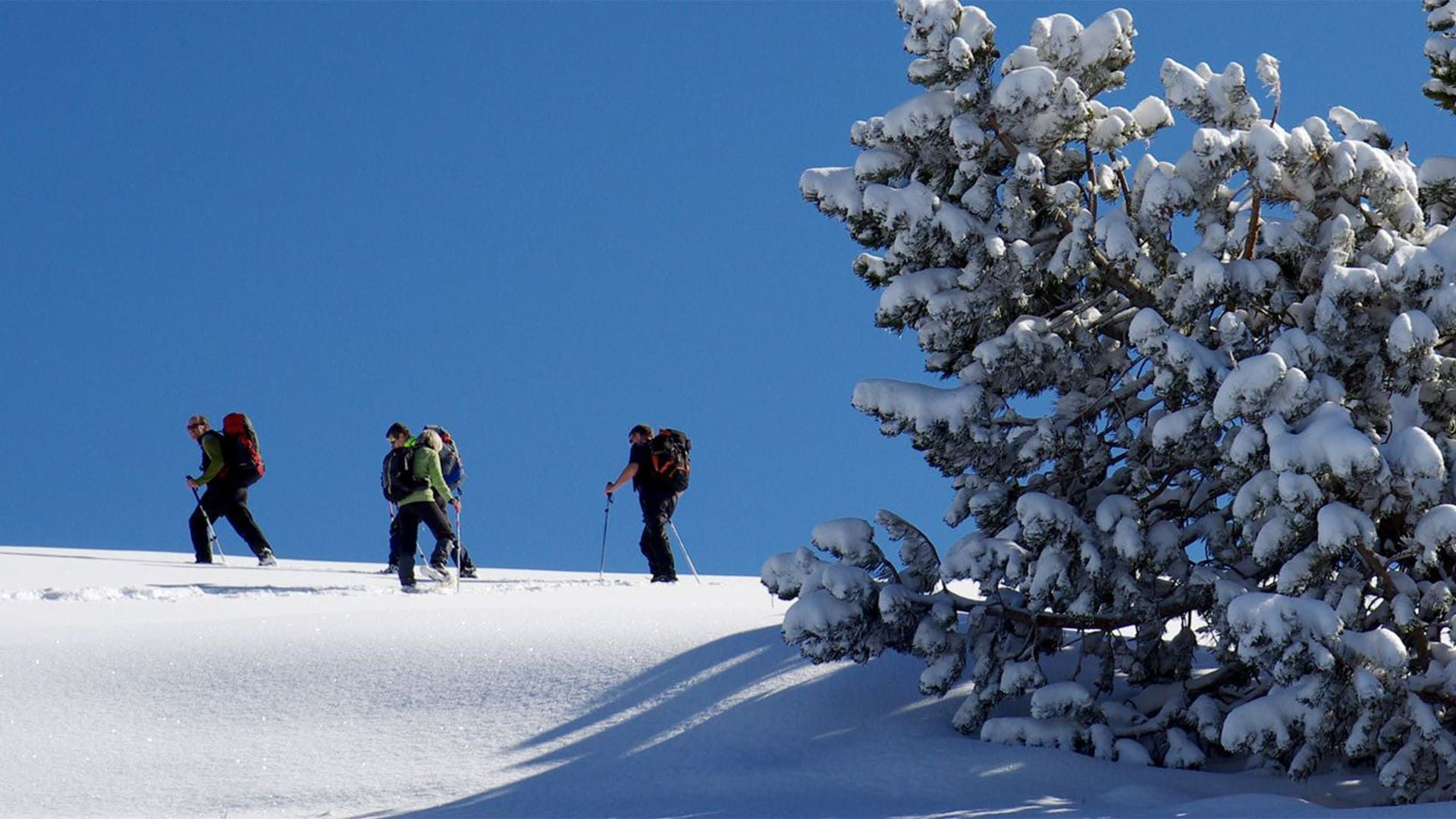 © Raymond Chabanier Escursionisti con le ciaspole sull’alpeggio della Molière - Vercors - Francia