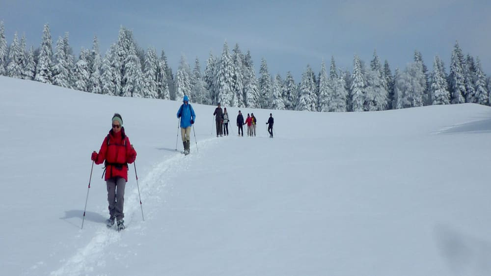 Escursionisti con le racchette da neve in un bosco innevato - Foresta Nera - Germania