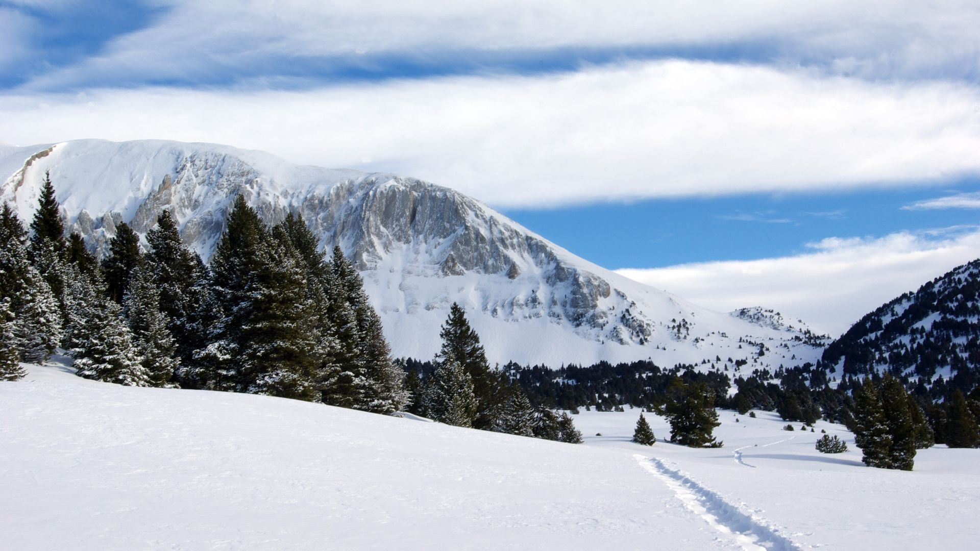 Escursionisti con le ciaspole nella foresta innevata - Vercors