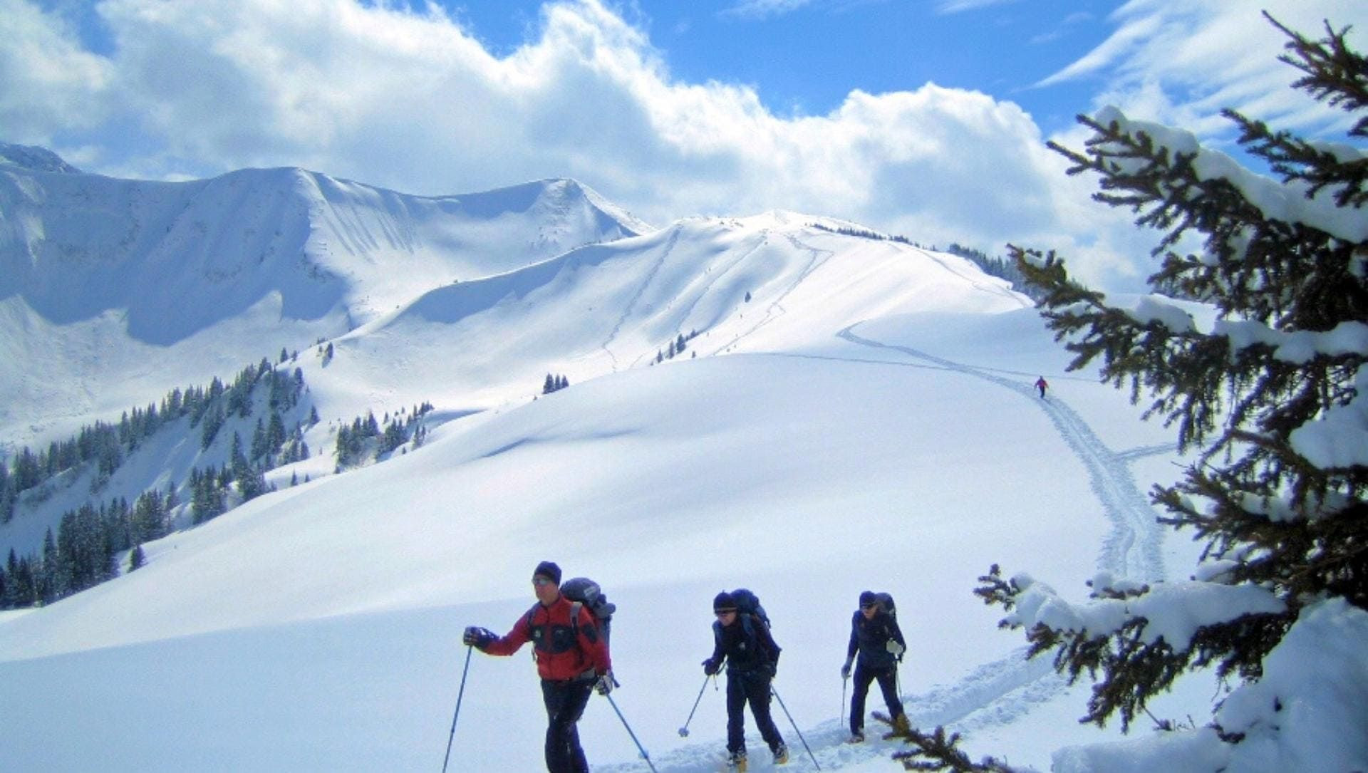 Escursionisti con le ciaspole su una cresta innevata - Bregenzerwald - Austria